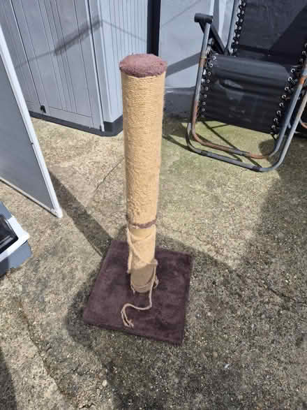 Photo of free Large tall cat post (Medway/kent) #1