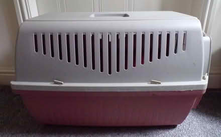 Photo of free Large Pet Carrier - No Handle (Wistaston) #3