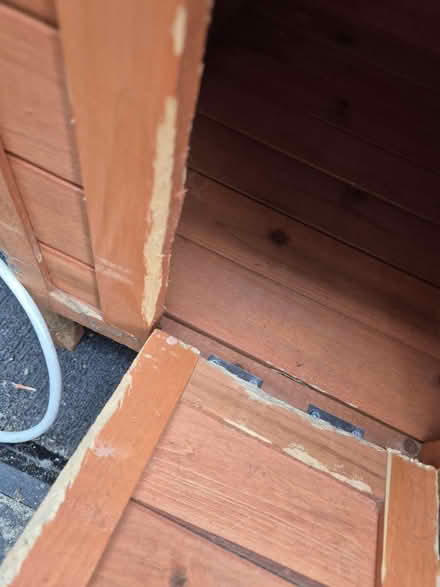 Photo of free Rabbit house (Medway/kent) #3