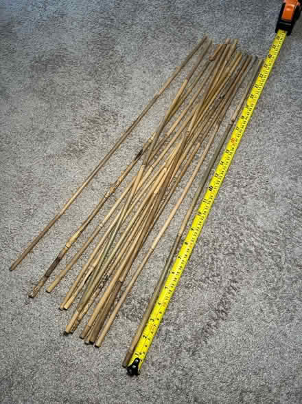 Photo of free Bamboo sticks for plants (Archway N19) #2