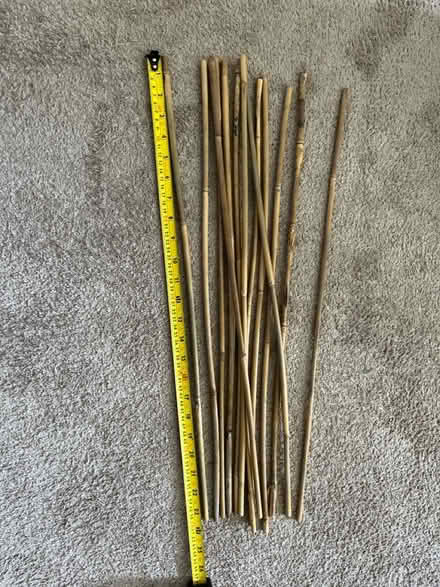 Photo of free Bamboo sticks for plants (Archway N19) #4
