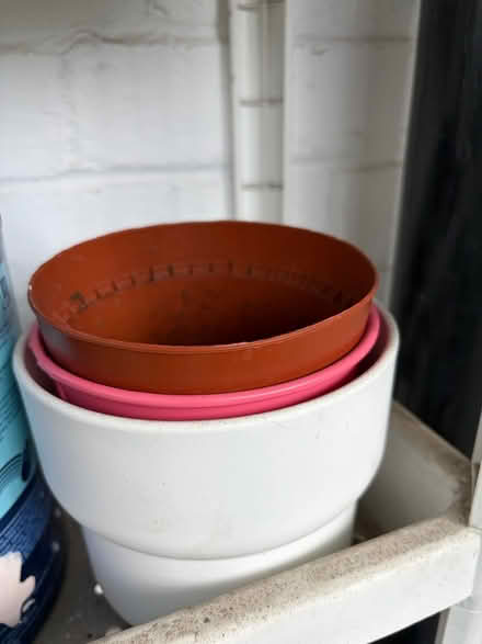 Photo of free Pots (Hackney Central E8 1HY) #4