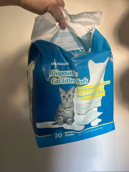 Photo of free cat stuff (east hollywood) #4