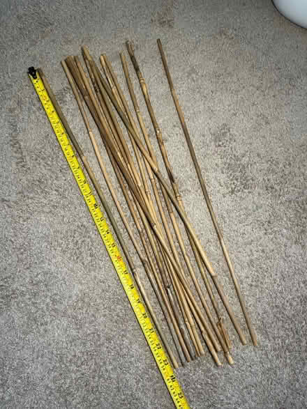 Photo of free Bamboo sticks for plants (Archway N19) #1