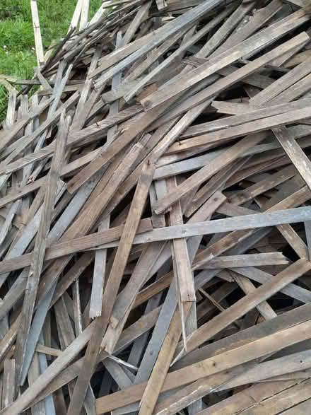 Photo of free Chestnut laths (City of Bristol BS5) #1