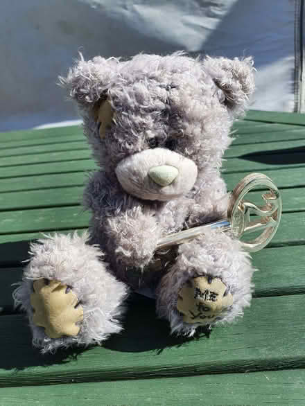 Photo of free Age 21 Teddy 15cms (Booker HP12) #1