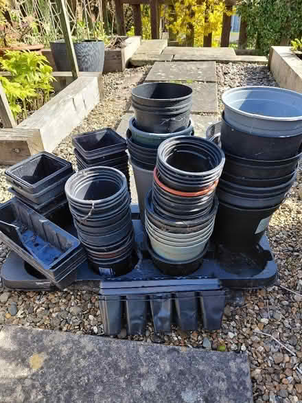 Photo of free Plastic Plant Pots (Wadsley S6) #1