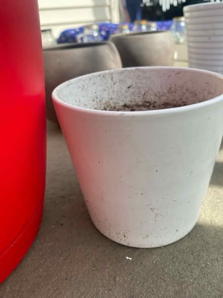 Photo of free Pots for plants (Skyway) #4
