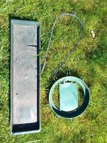 Photo of free Things for flower arranging (Odd Down) #1