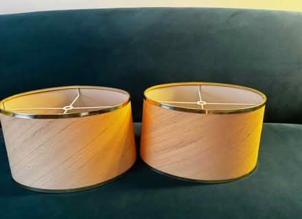 Photo of free Vintage Blush & Gold Lamp Shades (Sherwood TN2) #2