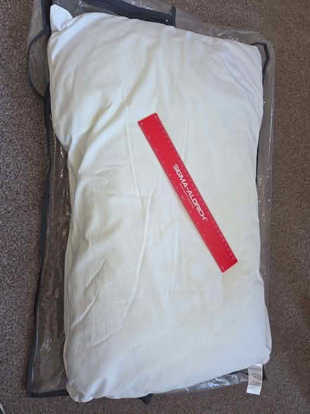 Photo of free Pillow (Kemptown BN2) #1