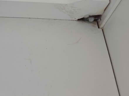 Photo of free Doll bunk beds (Greenhill Sheffield S8) #2