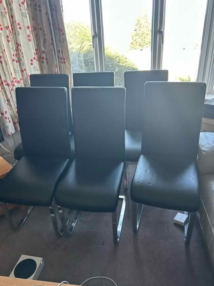 Photo of free Set of 6 dining room chairs (Bloomfield) #1