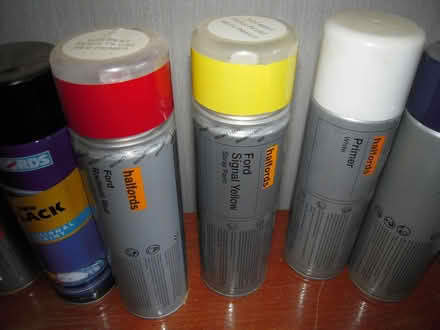Photo of free 10 Cannisters of Spray Paint (Maidenhead SL6) #3