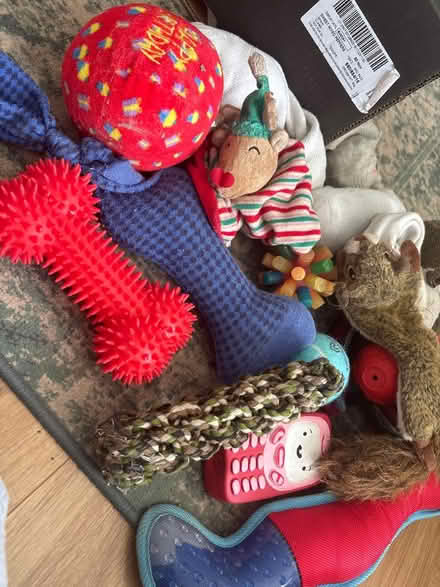 Photo of free Lot of dog toys (North shields NE30) #1