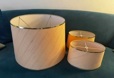Photo of free Vintage Blush & Gold Lamp Shades (Sherwood TN2) #1