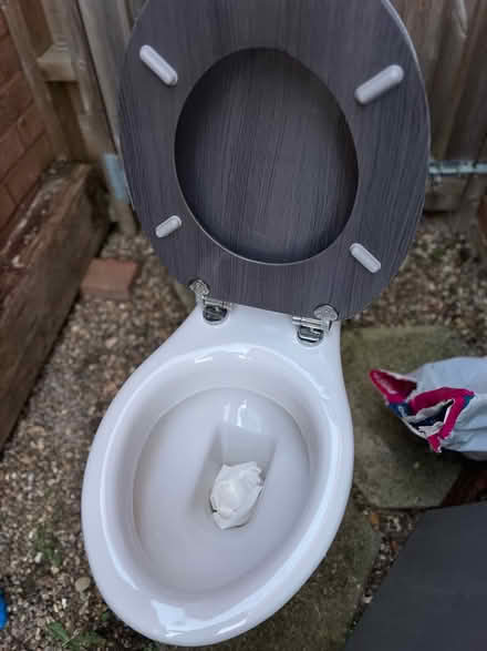 Photo of free Toilet Loo WC (Emerson MK4) #3