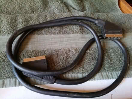 Photo of free Scart Lead (Stafford ST16) #1