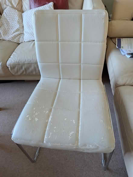 Photo of free Chairs x2 (TN4) #1