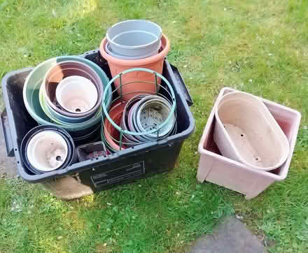 Photo of free Plastic plant pots (Chingford E4) #1