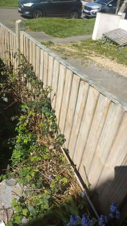 Photo of free Fences and posts (Saltdean) #2