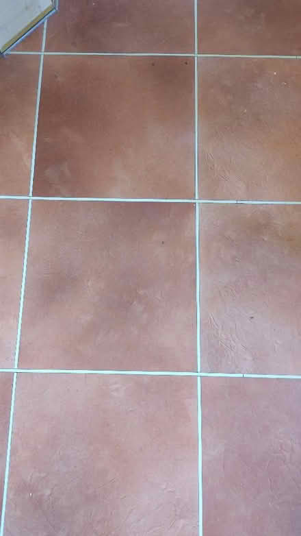 Photo of Vinyl Floor Tiles (Slinfold RH13) #1