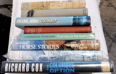 Photo of free 16 Assorted Fiction Books (Glasgow G43) #1