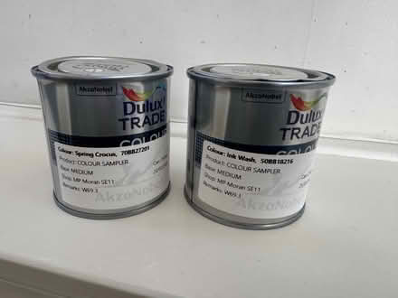 Photo of free 2 full Dulux paint samplers - blues (Elephant and Castle) #1