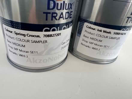 Photo of free 2 full Dulux paint samplers - blues (Elephant and Castle) #2
