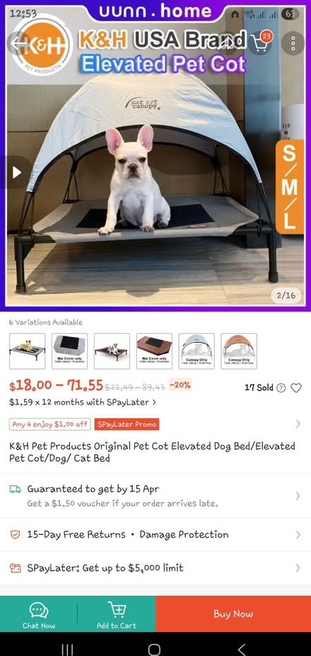 Photo of free Pet Bed with Canopy (Siglap) #1