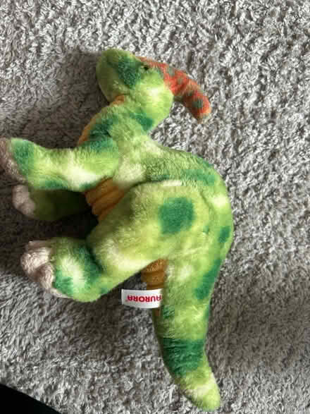 Photo of free 9 dragon/dino and shark teddies (Campbell Park MK9) #4
