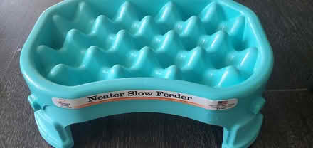 Photo of free Pet slow feeder (Springfield - Scenic Hills) #1