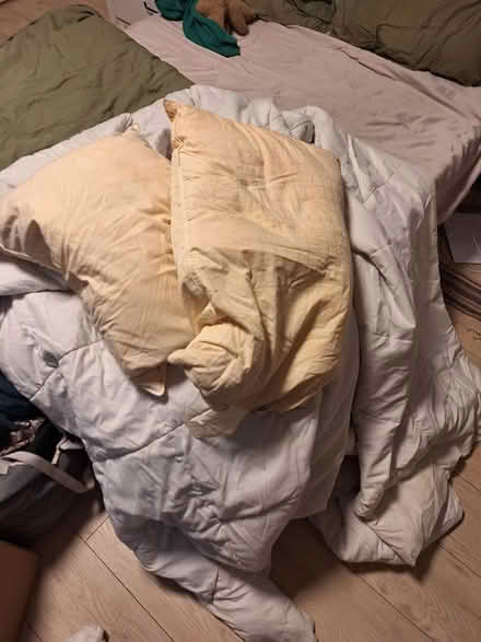 Photo of free Duvet and feather pillows (Near Kensington) #1