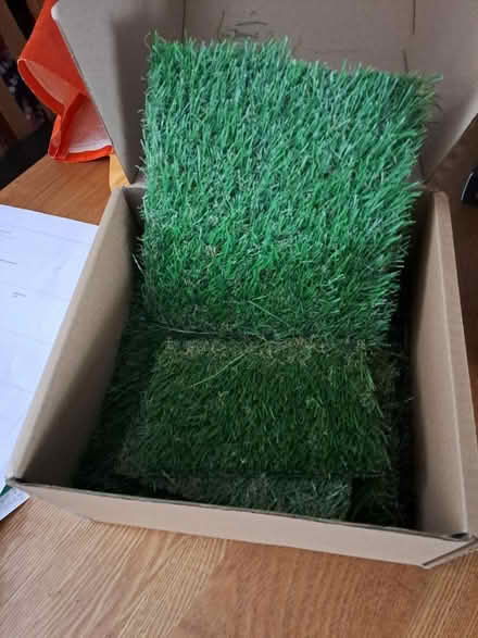 Photo of free Artificial Grass samples (Emsworth PO10) #1
