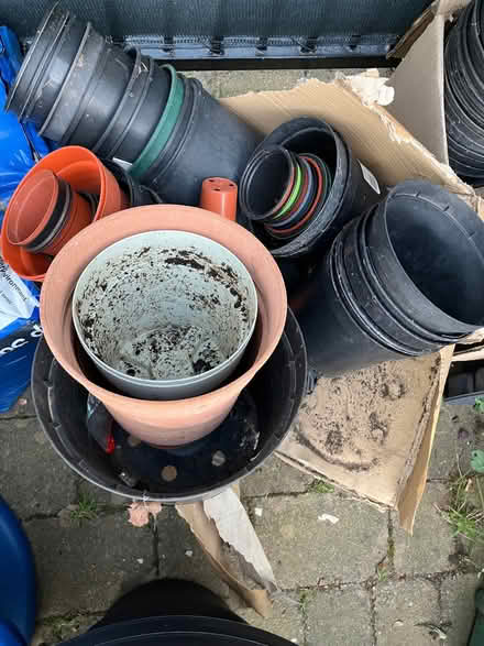 Photo of free Plastic plant pots (Wallasey CH44) #1