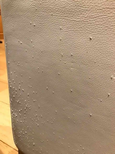 Photo of free Modernist-style leather sofa - with scratch damage (Chalk Farm NW5) #2