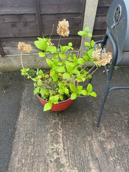 Photo of free BBQ, Child Play Pen, Roof Tiles (M40) #4