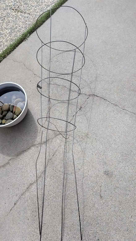Photo of free 5 tt heavy duty tomato cage (Cupertino/West San Jose) #3