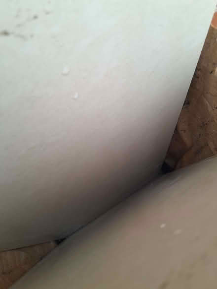 Photo of free 5 porcelain tiles (Southport PR9) #1