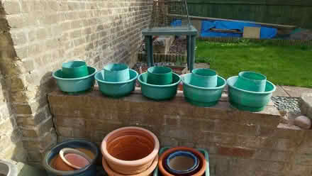 Photo of free Five Tomato Watering Collars (CT11) #1