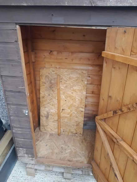 Photo of free Small shed (Dagenham RM8) #2