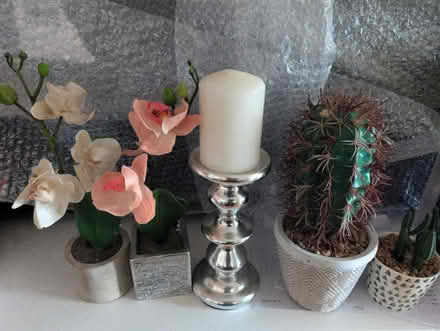 Photo of free fake plants (Salford Quays M50) #1