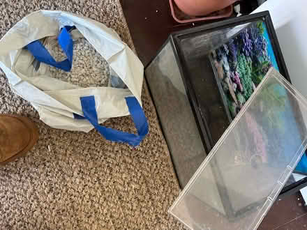 Photo of free 22 litre fish tank (SW9) #2