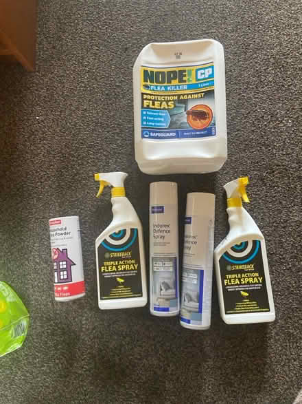 Photo of free Flea treatments (WN7) #1