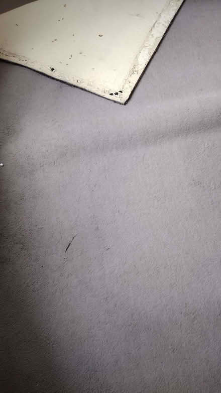 Photo of free 3 Pieces Of Carpet (Carlisle CA1) #2