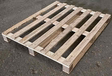 Photo of free wooden pallets (Whitehill SG4) #1