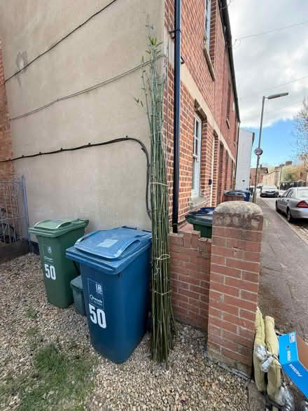 Photo of free Bamboo sticks (Vicarage Road) #1