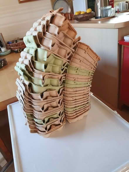 Photo of free Egg boxes (Lewes, BN7) #1