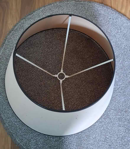 Photo of free Standard lampshade (East Kilbride G74) #2