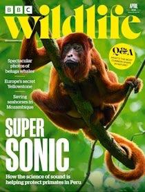 Photo of Gardening or Nature magazines (North Tonbridge TN10) #1